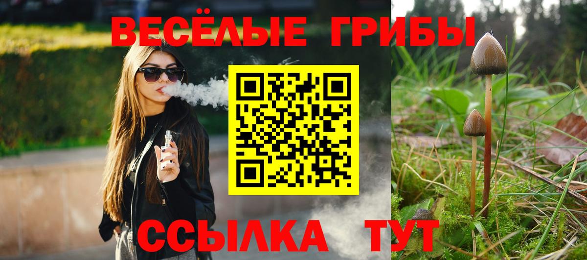 Артём  Псилоцибиновые грибы GOLDEN TEACHER  Вход с VPN 